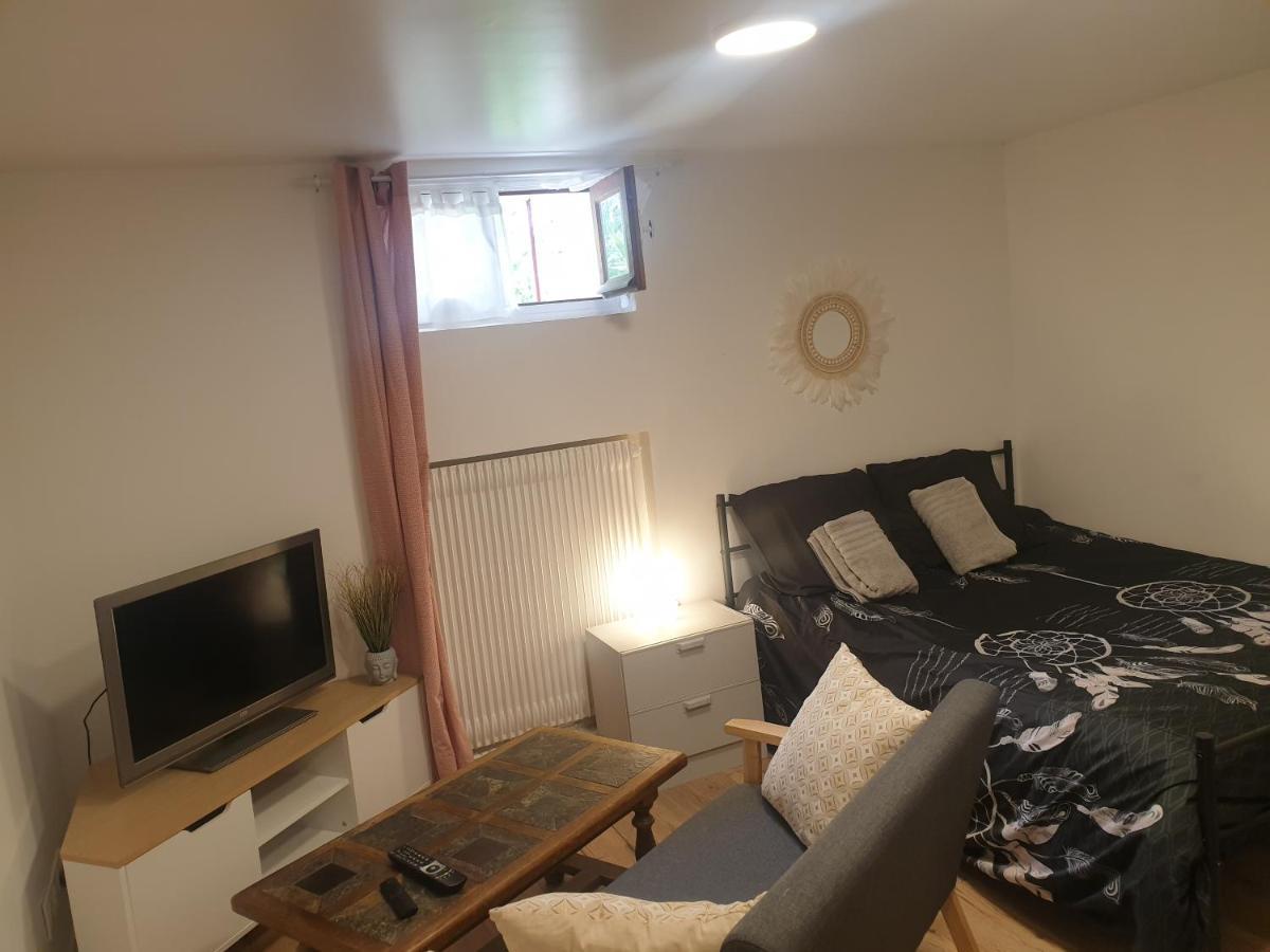 Studio 25M2 Independant Sous-Sol Apartment Сарсел Екстериор снимка